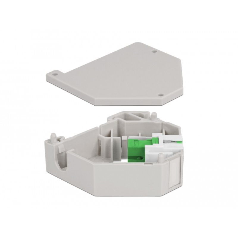 DeLOCK Adaptateur de rail DIN avec Keystone SC Simplex femelle à SC Simplex femelle