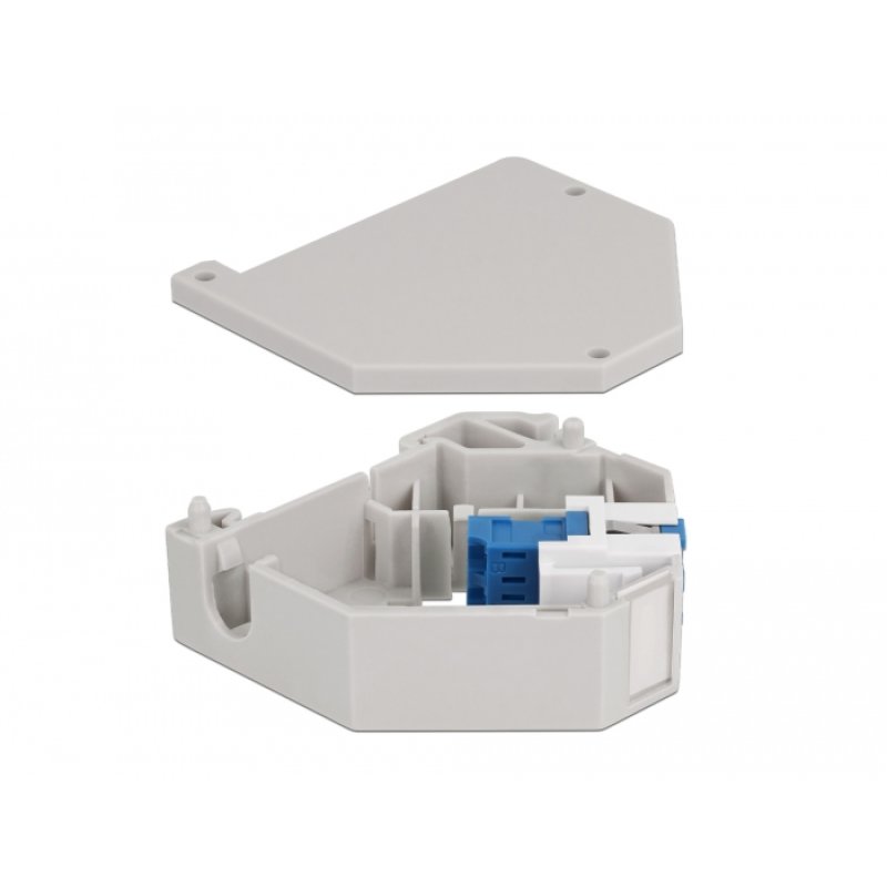 DeLOCK Adaptateur de rail DIN avec Keystone LC Duplex femelle à LC Duplex femelle, bleu