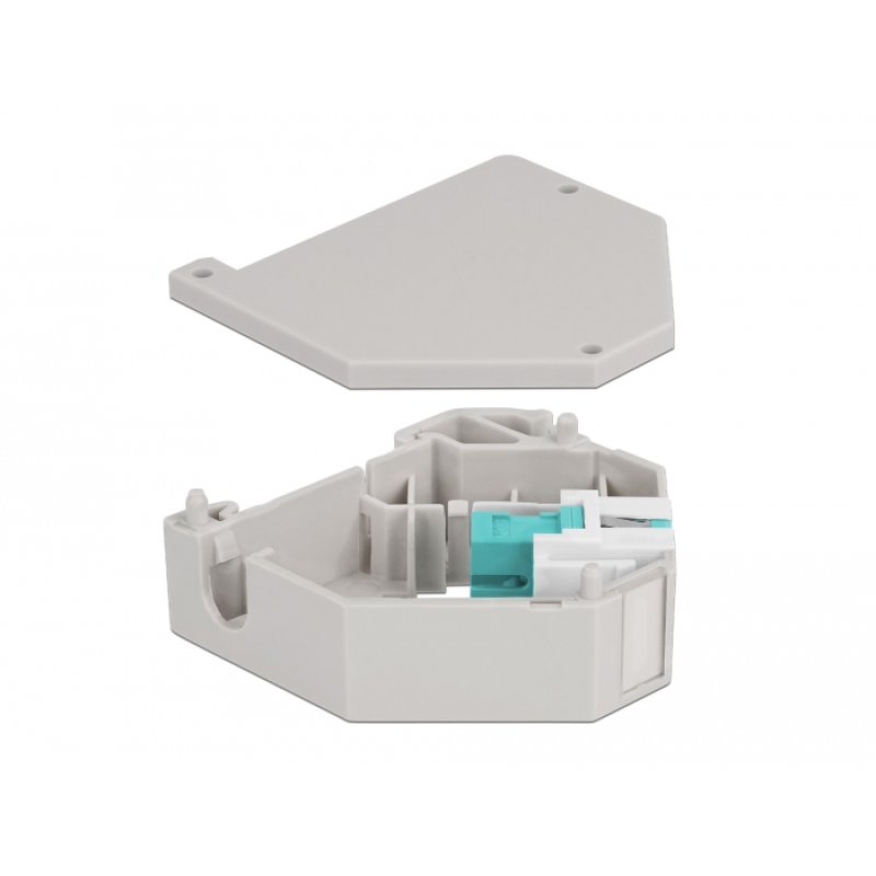 DeLOCK Adaptateur de rail DIN avec Keystone SC Simplex femelle à SC Simplex femelle