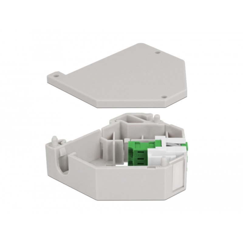 Delock Hutschienenadapter mit Keystone LC Duplex Buchse zu LC Duplex Buchse grün