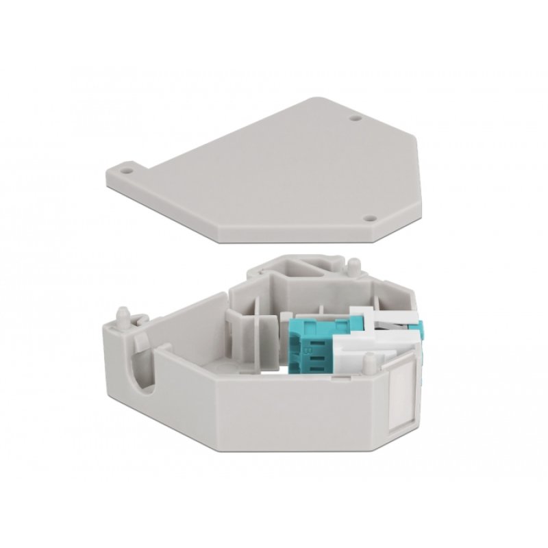 Delock Hutschienenadapter mit Keystone LC Duplex Buchse zu LC Duplex Buchse aqua