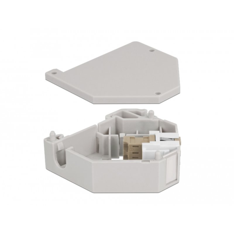DeLOCK Adaptateur de rail DIN avec Keystone LC Duplex femelle à LC Duplex femelle, beige
