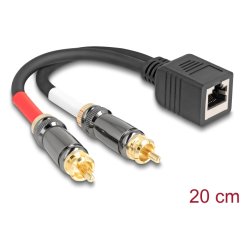 Delock Adapterkabel RJ45 Buchse zu 2 x Cinch Stecker schwarz 20 cm