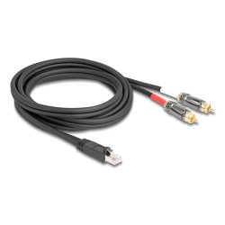 Delock Adapterkabel RJ45 Stecker zu 2 x Cinch Stecker schwarz 2 m