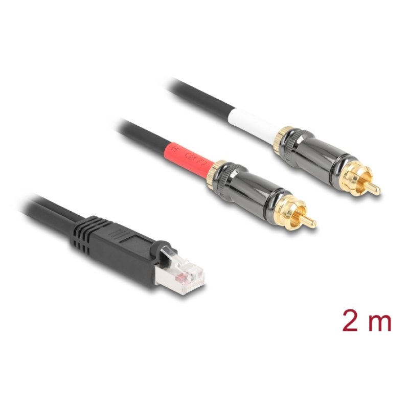 Delock Adapterkabel RJ45 Stecker zu 2 x Cinch Stecker schwarz 2 m