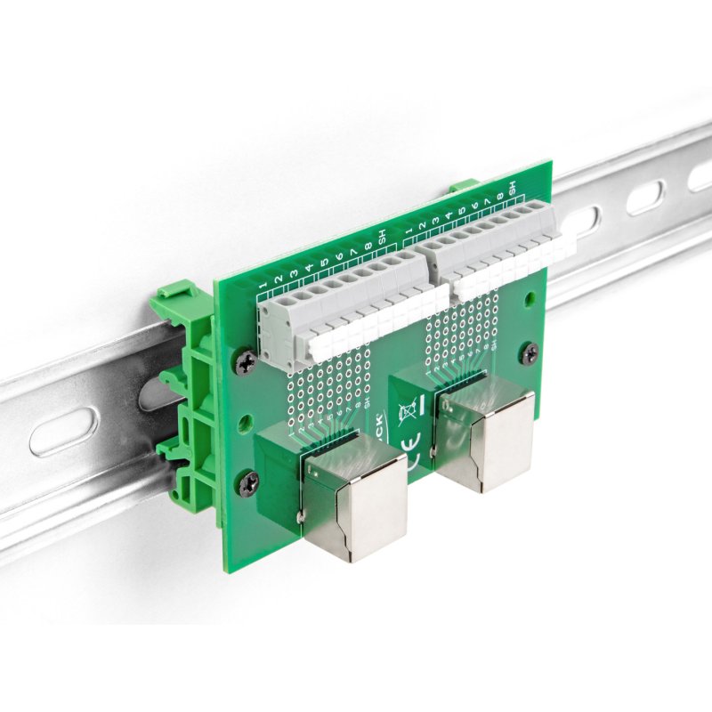 DeLOCK RJ45 2 femelles à 2 borniers avec bouton-poussoir pour rail DIN