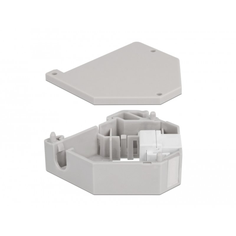 Delock Hutschienenadapter mit Keystone USB 2.0 Typ-A Buchse zu USB 2.0 Typ-A Buchse