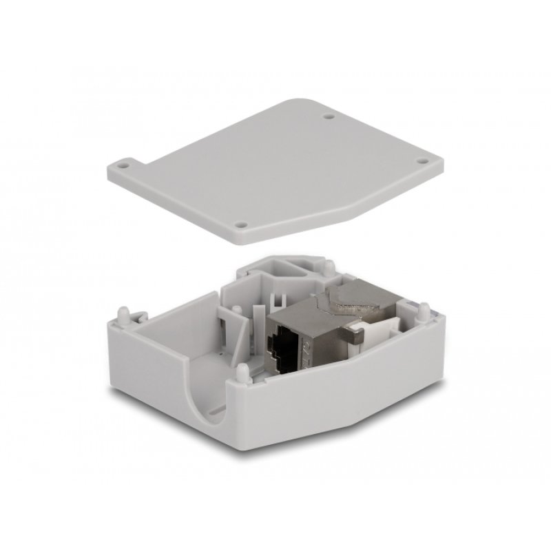 DeLOCK Adaptateur de rail DIN avec module Keystone RJ45 femelle à RJ45 femelle, Cat.6A
