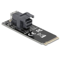 Delock Adapter M.2 Key M zu SFF-8643 NVMe 2260