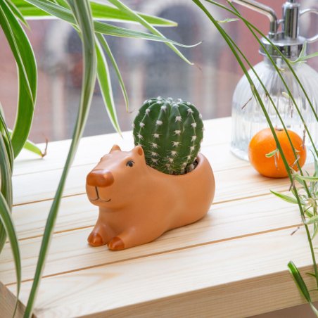 Kikkerland - Cappy the Capybara Planter Small - 4.5 x 2.5 x 2.5