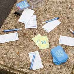 Kikkerland - BINGO. (GG281)