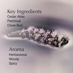 Aesop Eleos Nourishing Body Cleanser Refill Moisturizing Body Wash for Dry Skin