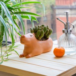 Kikkerland - Cappy the Capybara Planter - Large