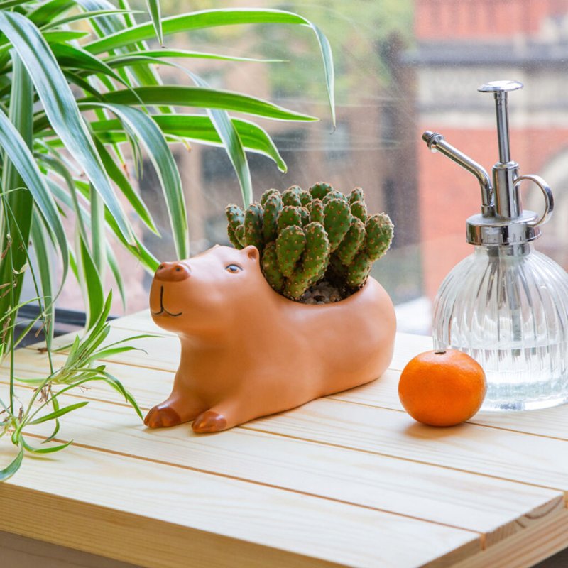 Kikkerland - Cappy the Capybara Planter - Large