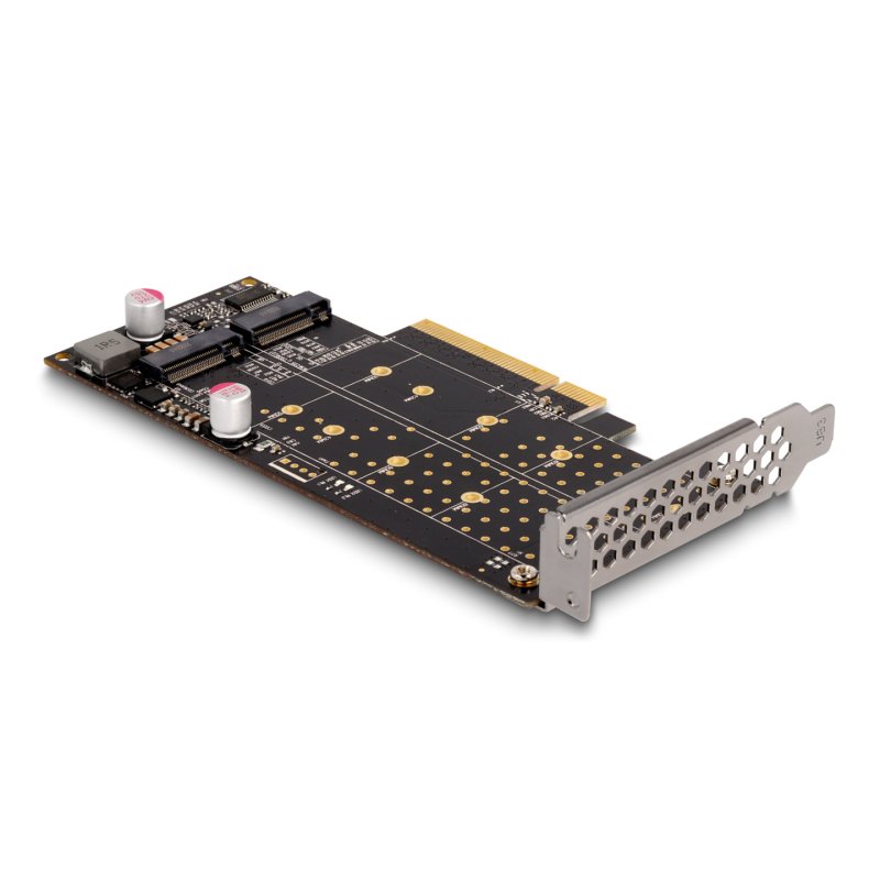 DeLOCK Carte PCI Express x8 à 2 x NVMe M.2 Key M internes - Bifurcation - Facteur de forme à profil bas