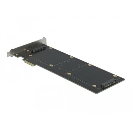 DeLOCK Carte PCI Express x2 pour x 2 SATA HDD / SSD RAID