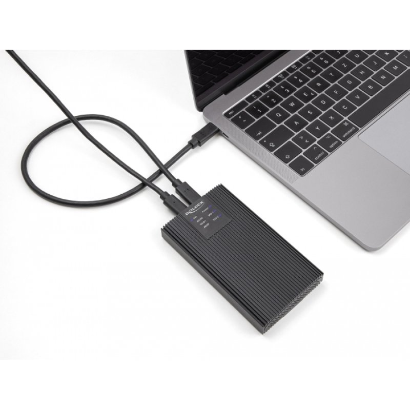 DeLOCK Boitier externe USB 20 Gbps pour 2 M.2 NVMe PCIe SSD avec USB Type-C femelle et RAID - sans outil