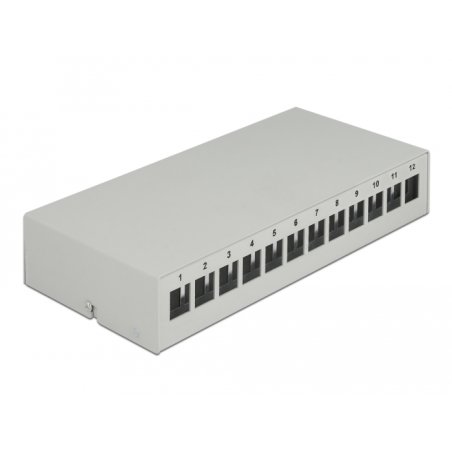 DeLOCK Panneau de distribution Keystone, 12 ports, gris