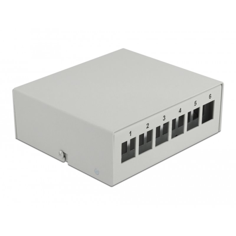 DeLOCK Panneau de distribution Keystone, 6 ports, gris