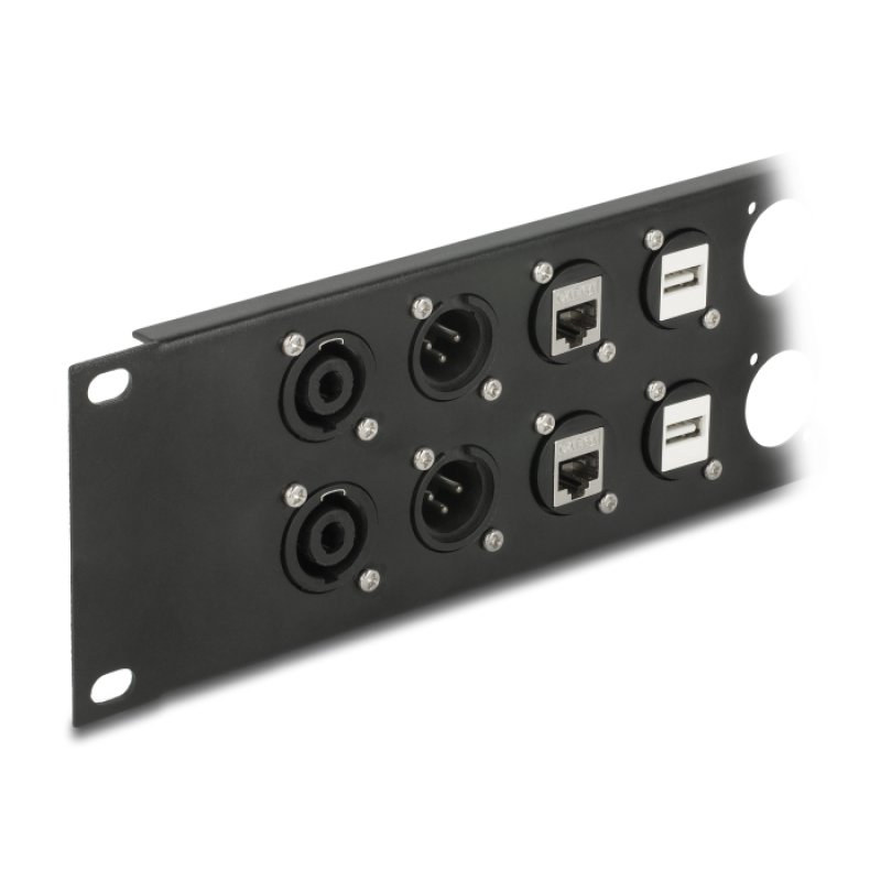 Delock D-Typ 10? Patchpanel 12 Port 2 HE schwarz