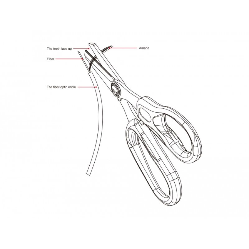 DeLOCK 90554 stationery/craft scissors Office scissors Figure cut Blue, Silver