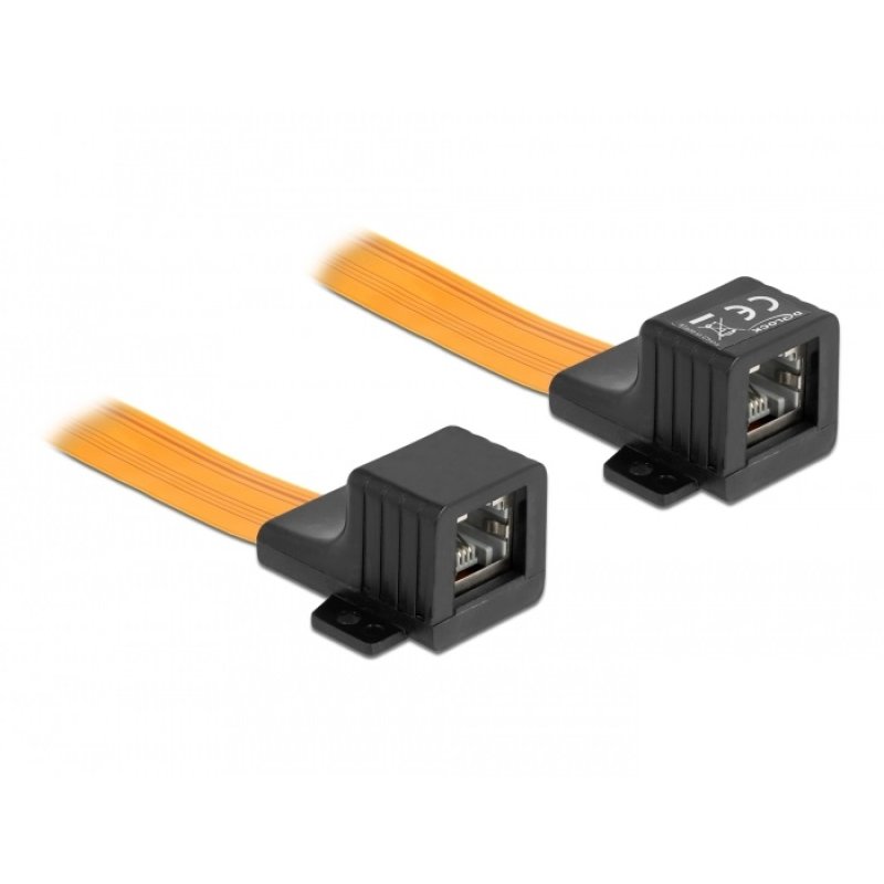 DeLOCK RJ45 FPC (Circuit imprimé flexible) alimenté à travers fenêtre, 30 cm