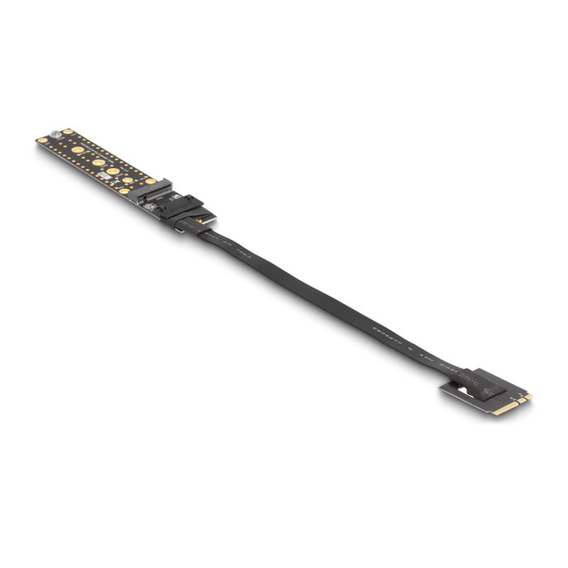 DeLOCK Carte Riser NVMe M.2 Key A E mâle à prise Key M avec 20 cm de câble