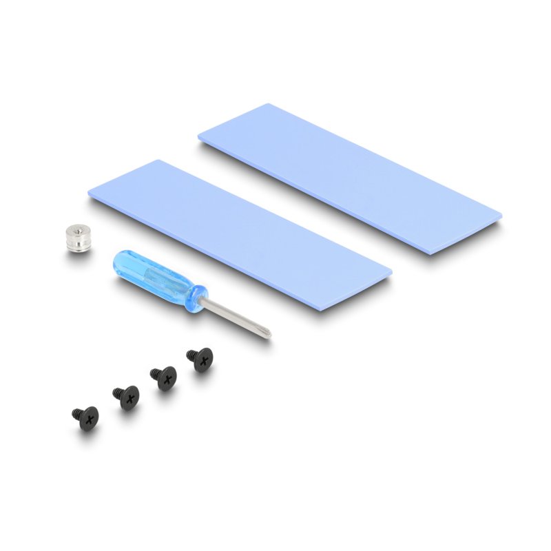 DeLOCK Dissipateur de chaleur avec ventilateur pour M.2 SSD 2280, noir