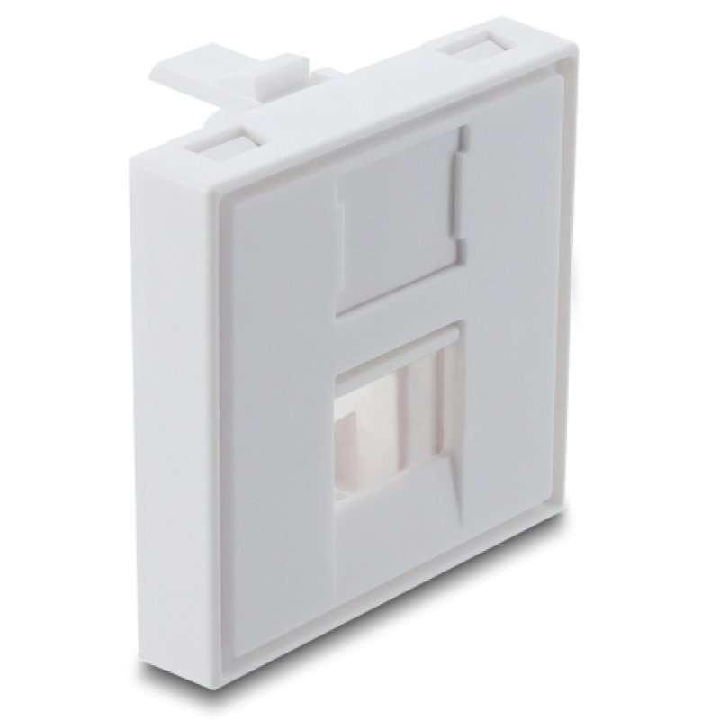 DeLOCK 81552 accessoire pour les modules Keystone Cadre à encliqueter