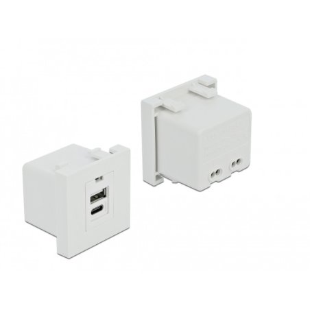 DeLOCK Easy 45 USB Charging Port Module 1 x Type-A 1 x USB Type-C