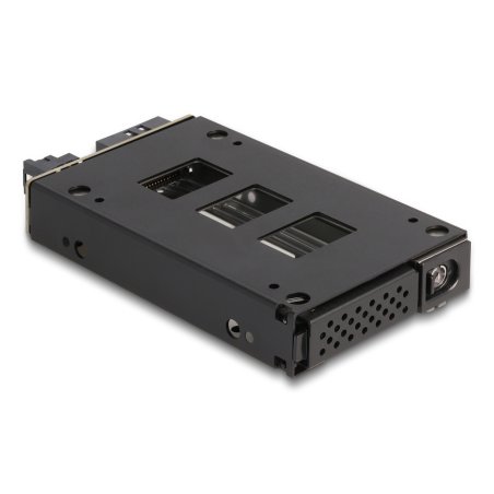 DeLOCK Slim Bay Mobile Rack for 1 x 2.5″ U.2 NVMe SSD