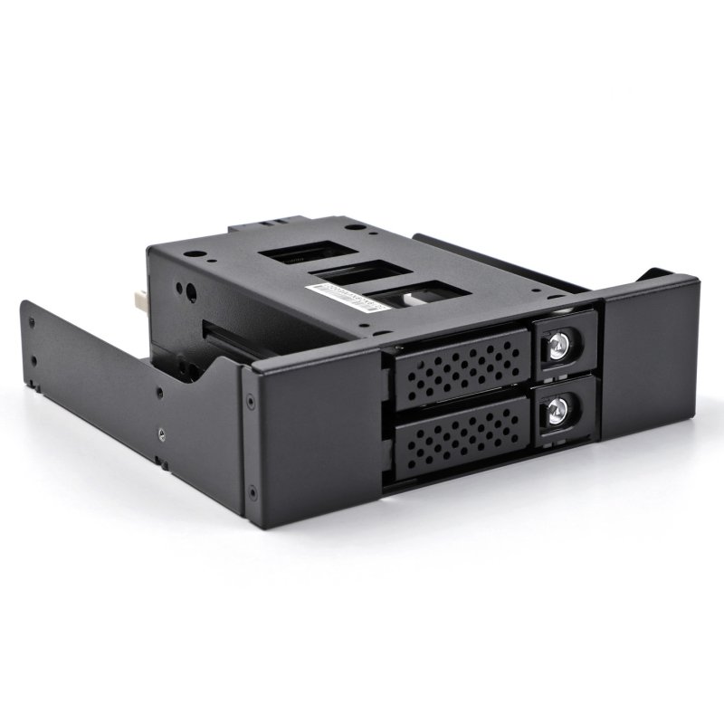 DeLOCK Slim Bay Mobile Rack for 2 x 2.5″ U.2 NVMe SSD with 5.25″ frame