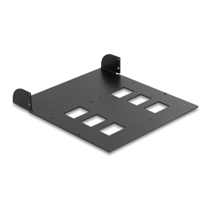 DeLOCK Châssis d’installation en métal 5.25″ pour 2 racks amovibles 47011 / 47005 de