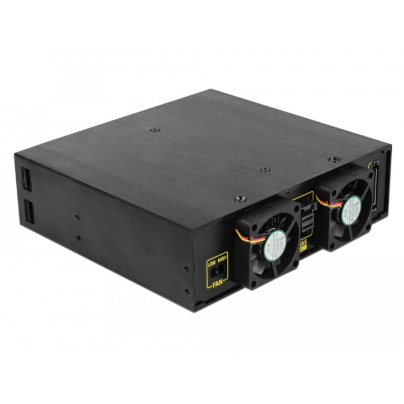 DeLOCK 47233 Obturateur de baie de lecteur Noir