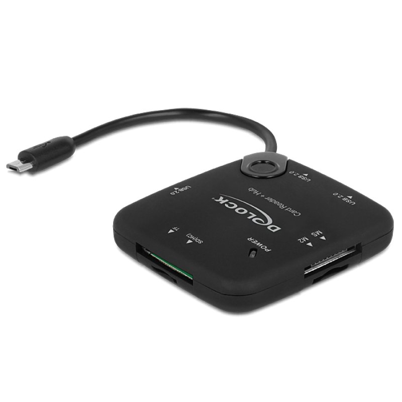 DeLOCK 65529 lecteur de carte mémoire USB 2.0 Noir
