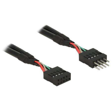 DeLOCK 0.1m 2xUSB2.0 10p