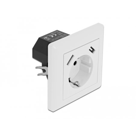 DeLOCK Prise de courant avec 2 ports 2,8 A de chargement USB Type-A