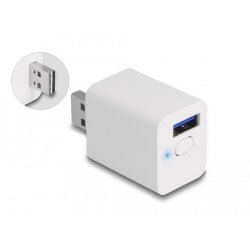 DeLOCK 11828 smart plug Home White
