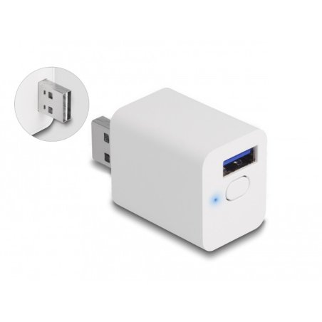 DeLOCK 11828 smart plug Home White