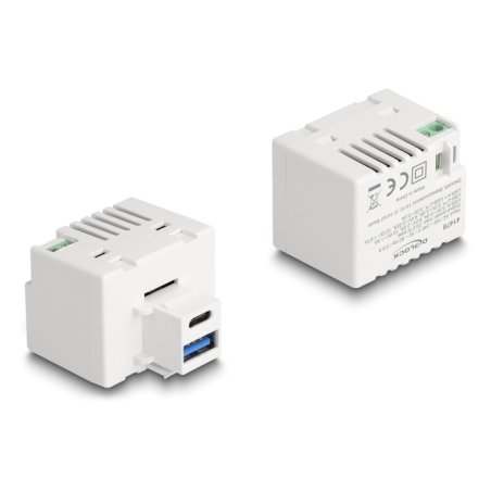DeLOCK Module Keystone avec ports de chargement USB Type-A et USB Type-C PD 20 W blanc
