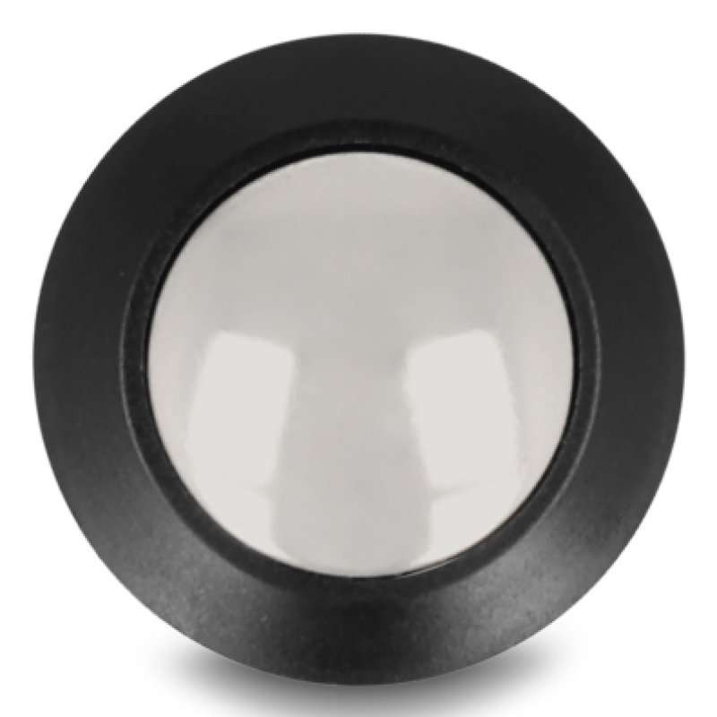 DeLOCK 22044 commutateur électrique Bouton-poussoir 2P Noir, Argent