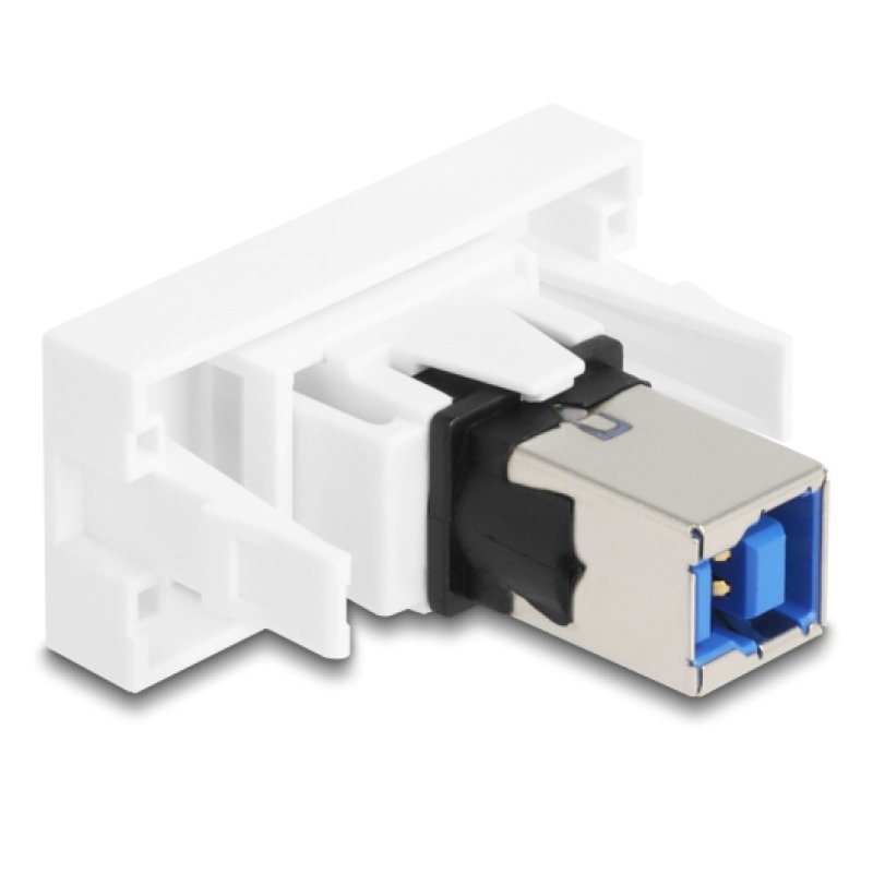 DeLOCK 90910 Module Keystone