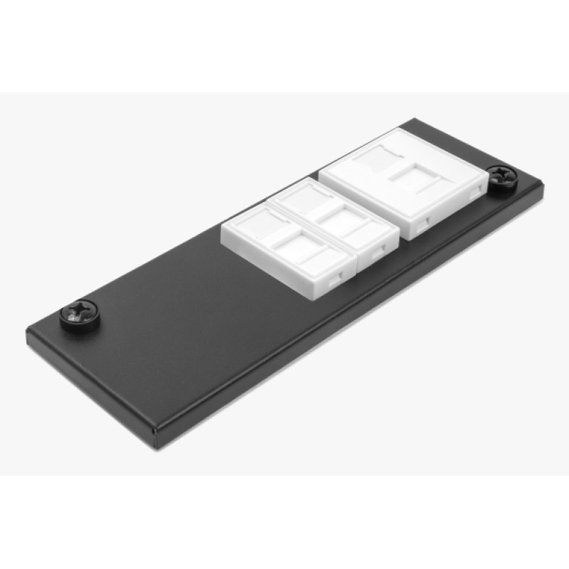DeLOCK Easy 45 Module Holder for table or wall mounting - 4 ports (22.5 x 45 mm) or 2 ports (45 x 45 mm), metal, black