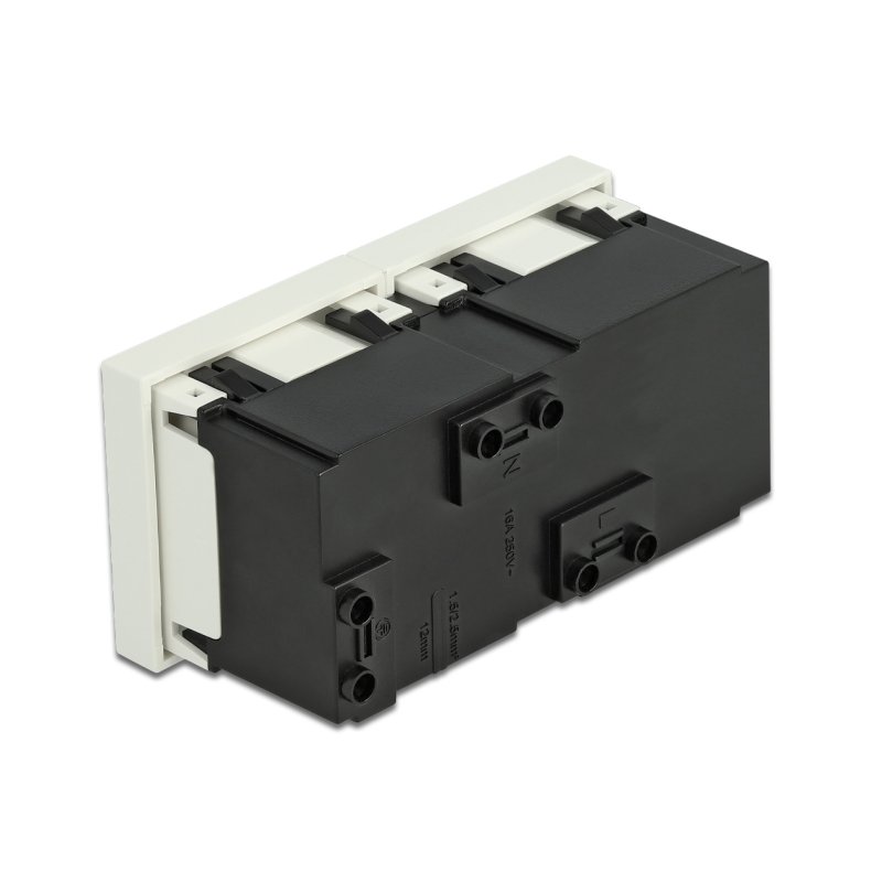 DeLOCK Easy 45 de 2 prises de courant avec terre 45 x 45 mm avec une disposition à 45°
