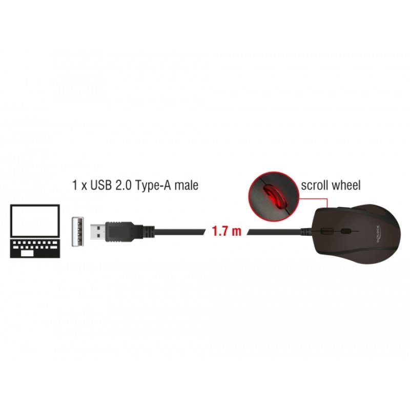 DeLOCK 12548 souris Bureau Gauche USB Type-A Optique 2400 DPI