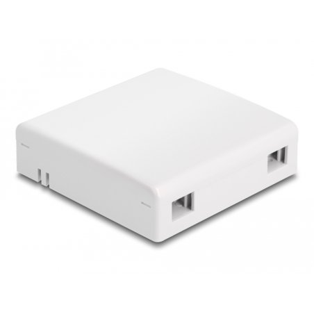 DeLOCK Boitier de connexion de fibre optique à montage mural pour 2 x SC Simplex ou LC Duplex, blanc