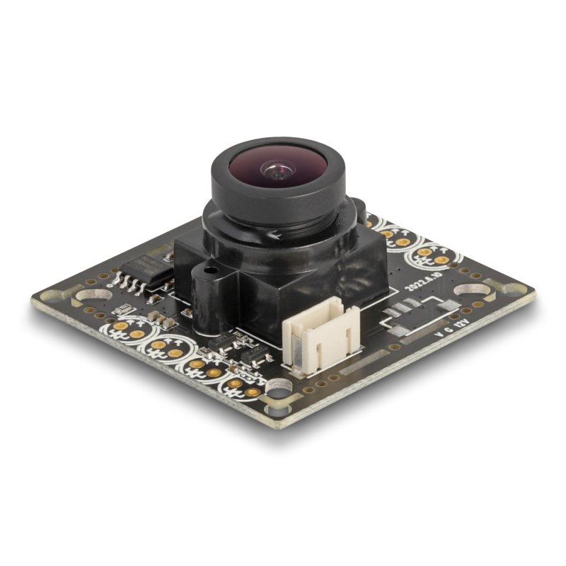 DeLOCK Module de caméra CVBS analogique avec HDR, 2,1 mégapixel 130° V8, focus fixe