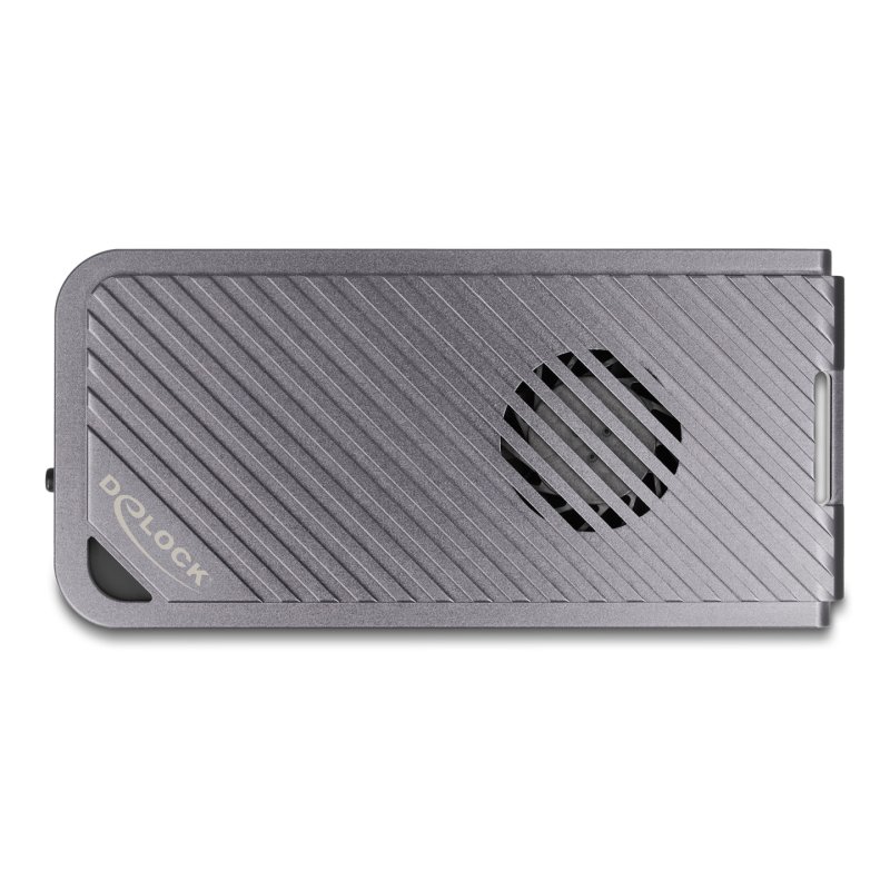 DeLOCK 42025 Boîtier de disques de stockage Enceinte ssd Gris M.2