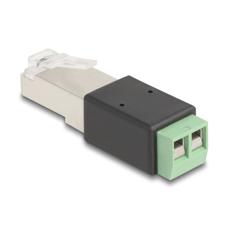 DeLOCK RJ45 mâle à adaptateur de bornier, 2 broches