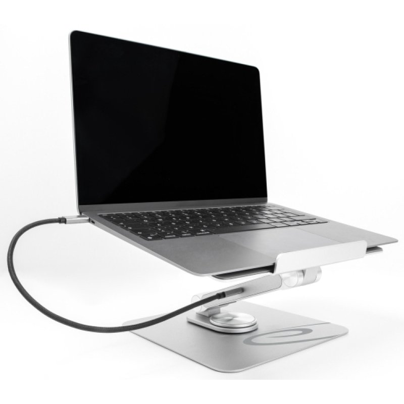 DeLOCK 18457 laptop stand Laptop & tablet stand Silver 39.6 cm (15.6")